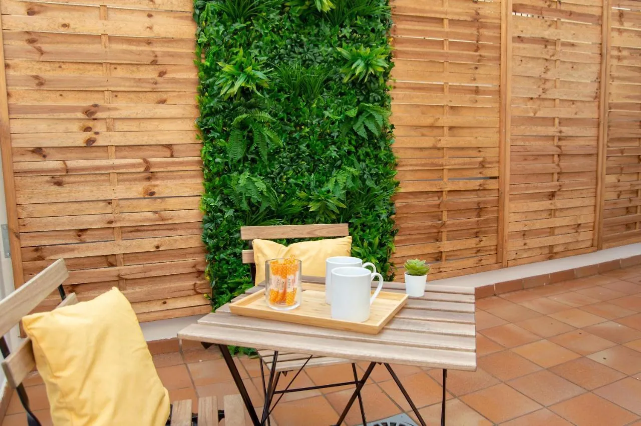 Novam Loft Terrace Centro Malaga Apartment Spain