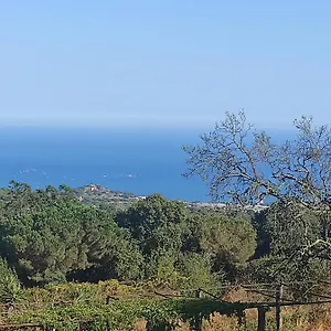 Bruguera 3 , Mataró Espagne