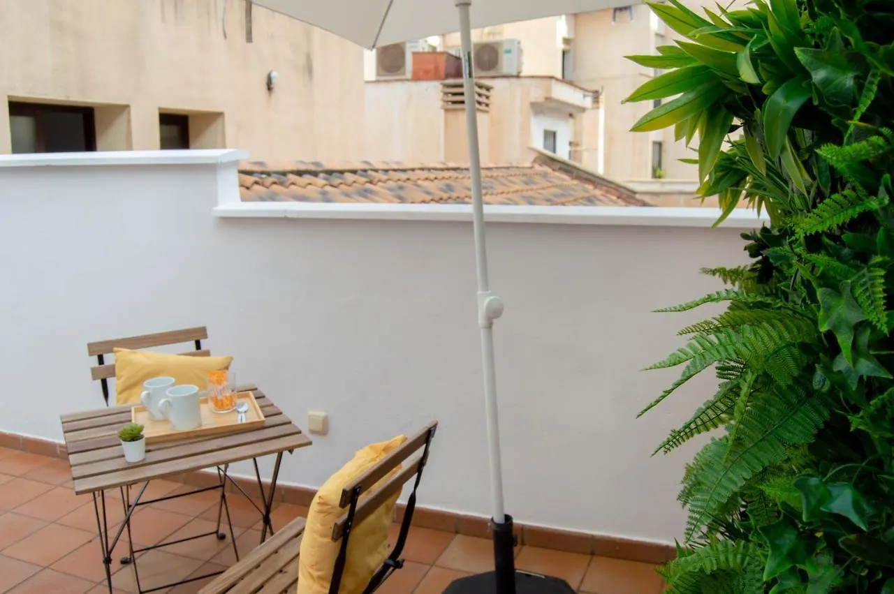 Novam Loft Terrace Centro Malaga Apartment